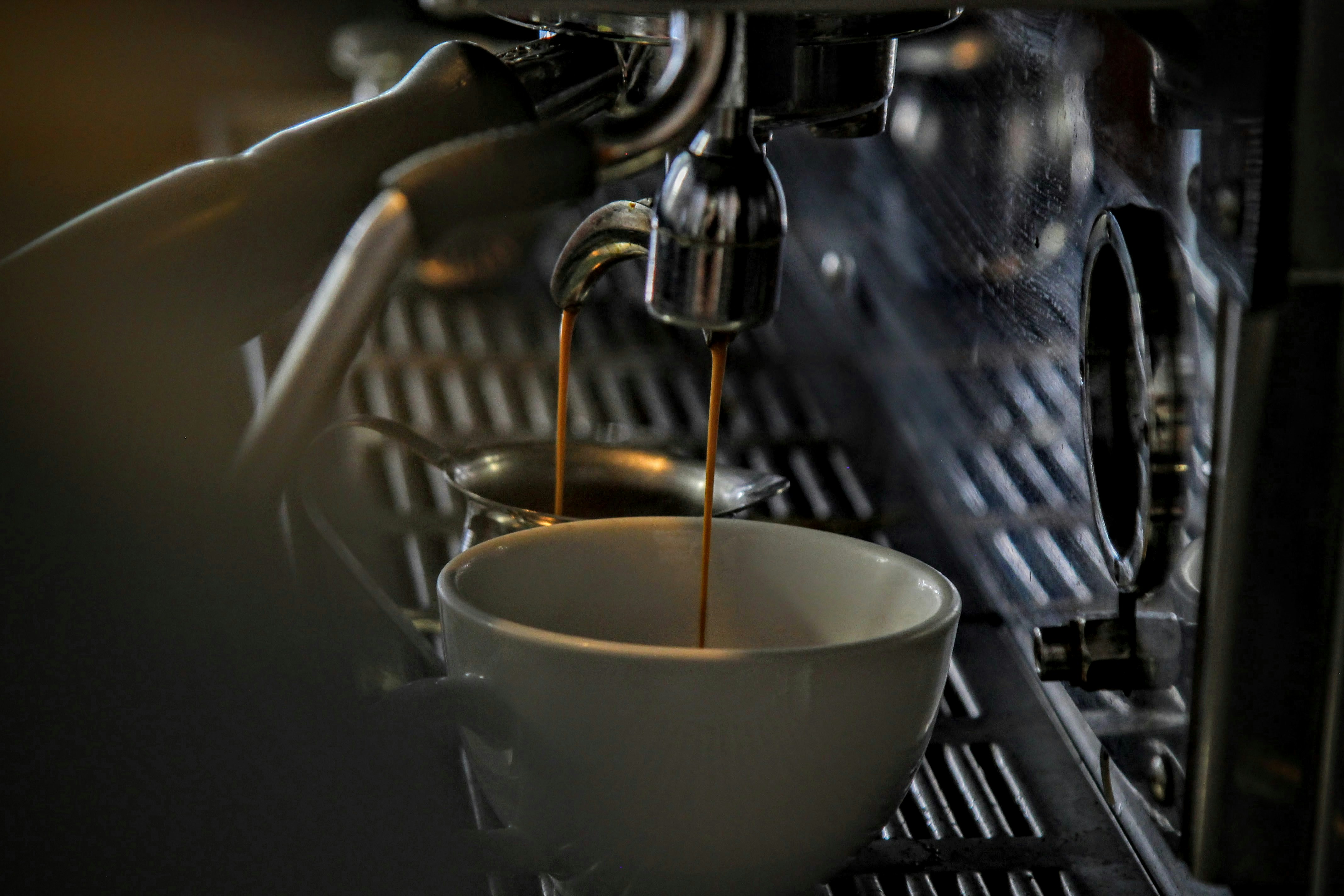Sustainable Coffee: Our Journey to Fair Trade