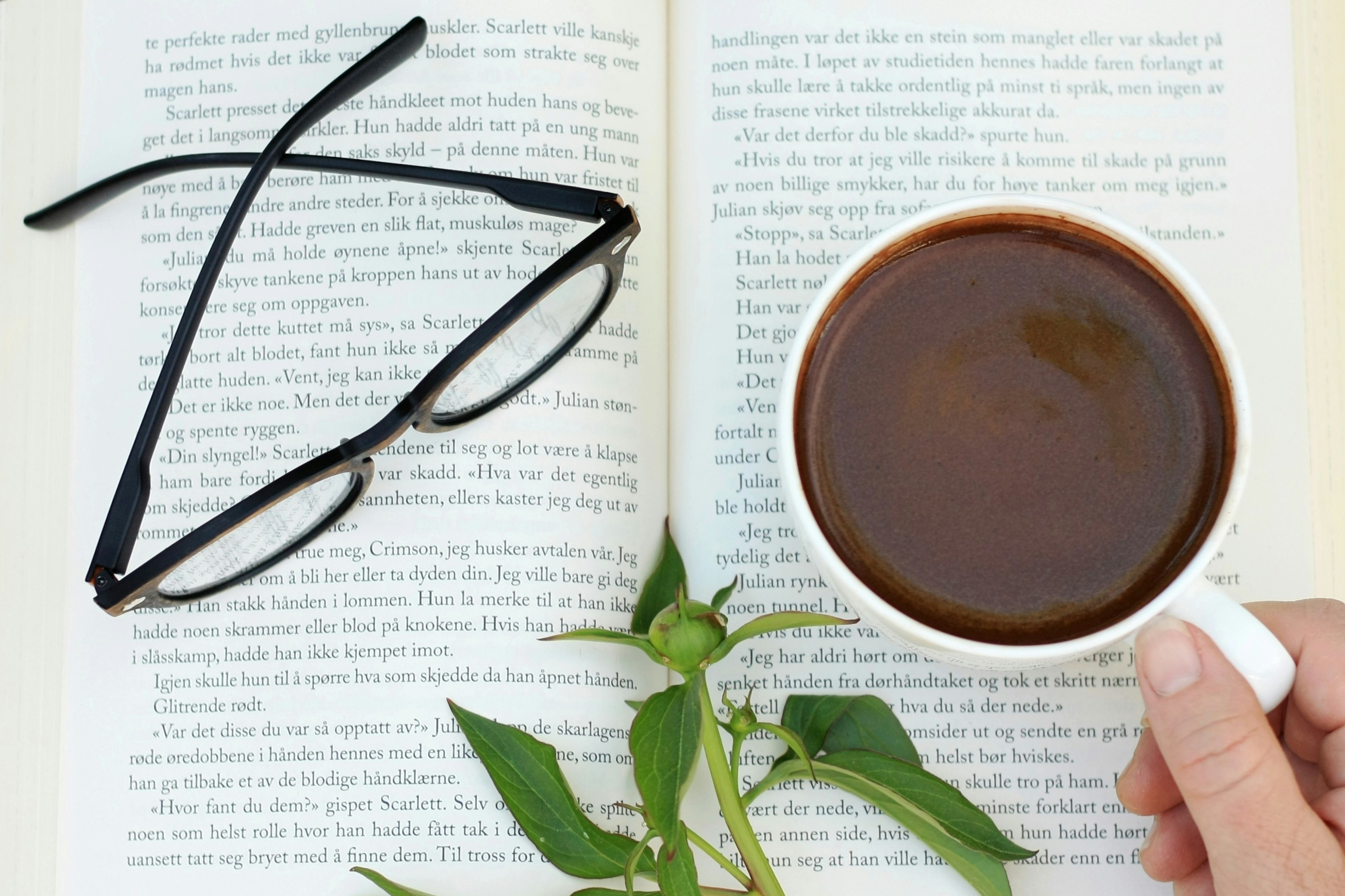 Coffee Origins: Exploring Ethiopian Coffee Culture
