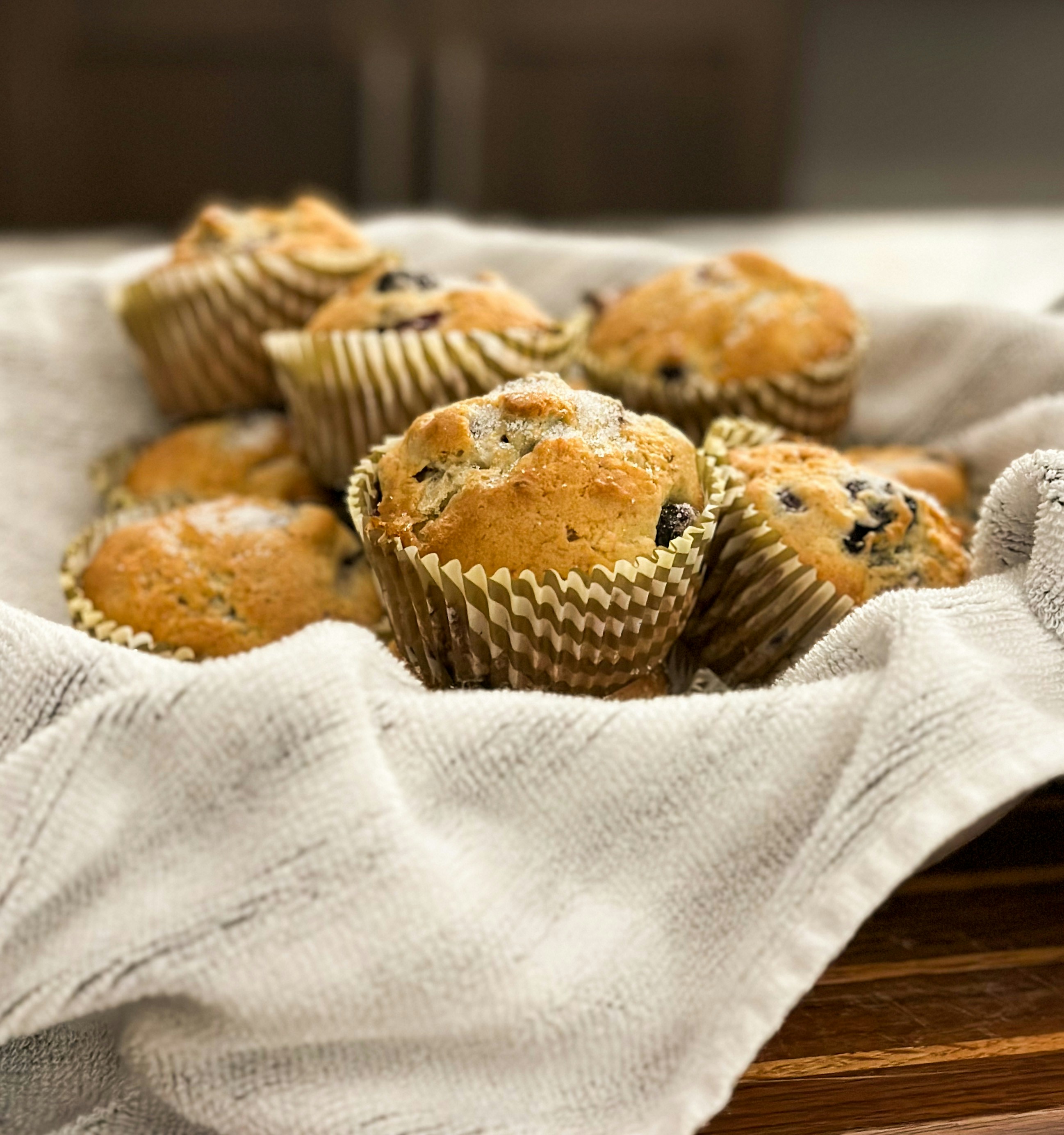 Blueberry Muffin
